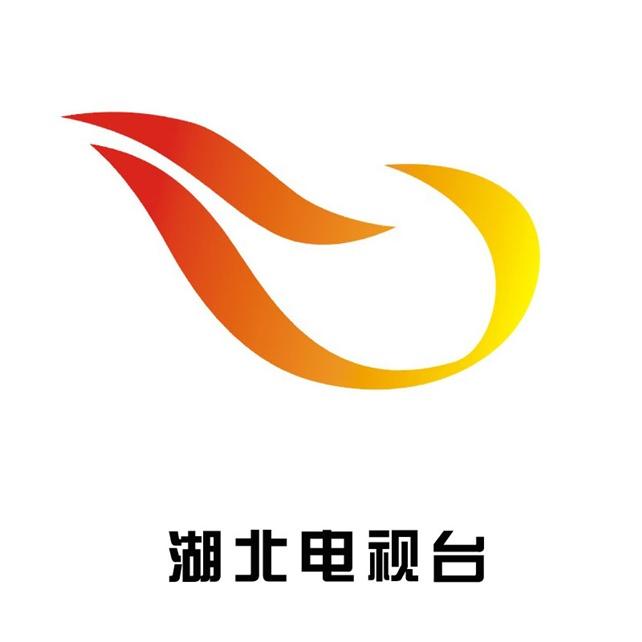 湖北电视台教育频道广告代理公司