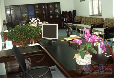 老总办公室摆放什么植物