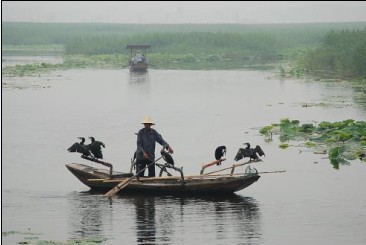 白洋淀旅游景点大全,_白洋淀旅游景点大全,价格_旅游