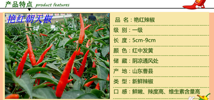 供应艳红辣椒 新鲜朝天椒 辣度*** 口感好 辣椒大量上市