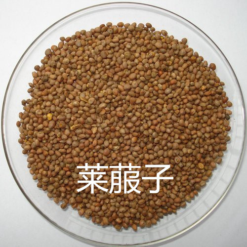 中文名: 莱菔子提取物 英文名称:  radish  seed  extract 别名: 萝卜