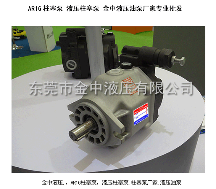 ar16变量柱塞泵_抽油轴向柱塞泵_液压油站专用变量柱塞泵