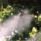 農業植保機械噴霧設備|噴霧設備大棚|大棚噴霧降溫設備