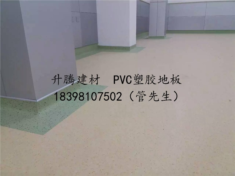 建材分类 防水材料 防水卷材 > 遂宁同质透芯pvc塑胶地板塑胶楼地面