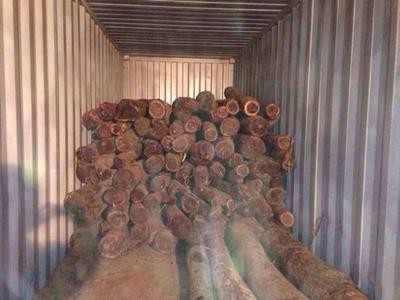 赞比亚血檀原木进口报关申报价格是多少\/法检