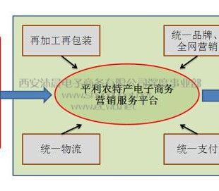 陕西安康平利县农村电子商务服务中心运营策划案