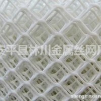 塑料平網 萬能網 護坡網 濾芯網