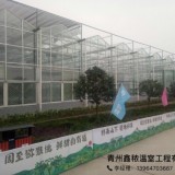 北京鑫秾薄膜连栋温室有进出口贸易权的大棚实体厂家