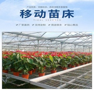 衡水航迪花卉栽培蔬菜育苗生产型移动苗床